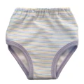 2-pack girls cotton briefs striped purple/pink
