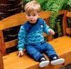 37593zd3