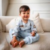 Blue children's sweatshirt with hedgehog print
