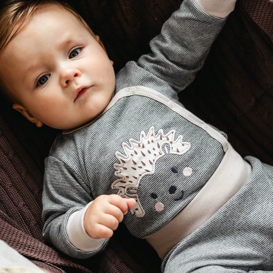 Grey baby wrap bodysuit with long sleeves and hedgehog print