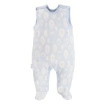 Śpioch bambusowy w piórka niebieskie